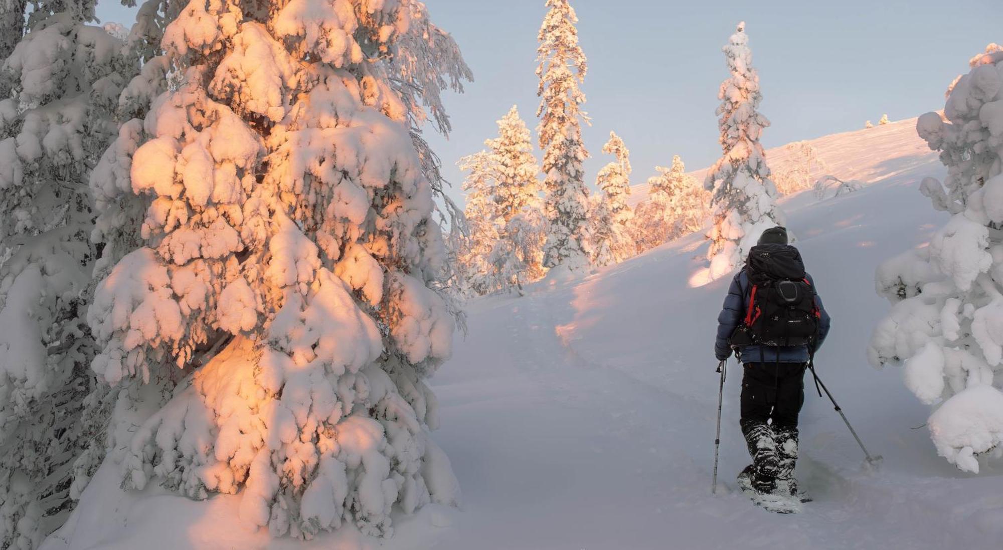 Nivunki Village Muonio Exteriér fotografie